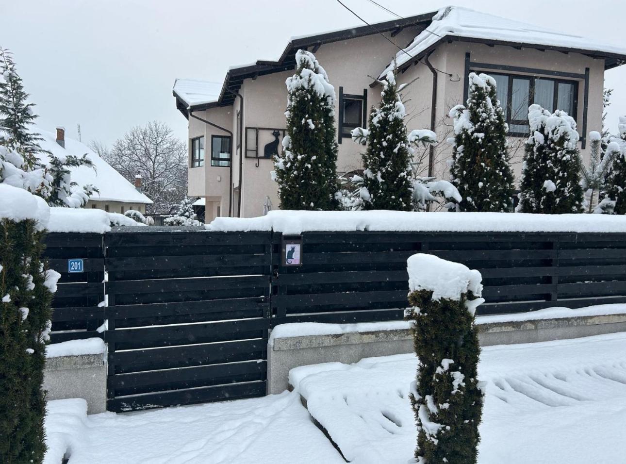 Casa Pisica Noastra Ξενοδοχείο Breaza  Εξωτερικό φωτογραφία