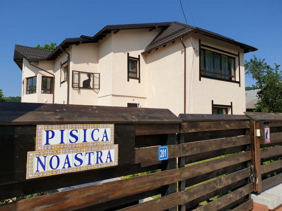 Casa Pisica Noastra Ξενοδοχείο Breaza  Εξωτερικό φωτογραφία